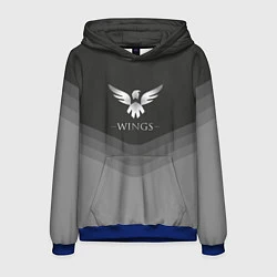 Толстовка-худи мужская Wings Uniform, цвет: 3D-синий