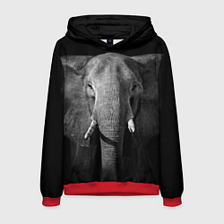Толстовка-худи мужская Взгляд слона, цвет: 3D-красный