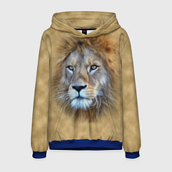 Толстовка-худи мужская Песчаный лев, цвет: 3D-синий