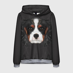 Толстовка-худи мужская Cavalier King Charles, цвет: 3D-меланж