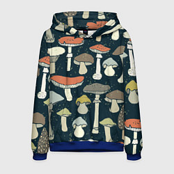 Мужская толстовка Грибной лес