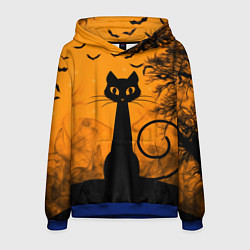 Мужская толстовка Halloween Cat