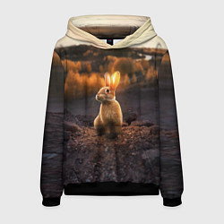 Толстовка-худи мужская Солнечный зайчик, цвет: 3D-черный
