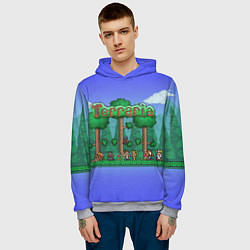 Толстовка-худи мужская Terraria, цвет: 3D-меланж — фото 2
