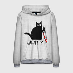 Мужская толстовка What cat