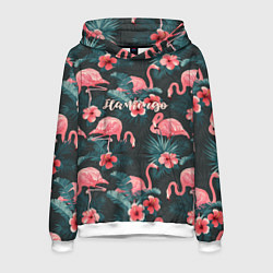 Мужская толстовка Flamingo