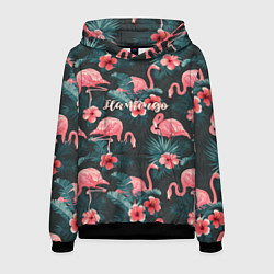 Мужская толстовка Flamingo