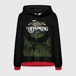 Мужская толстовка Offspring