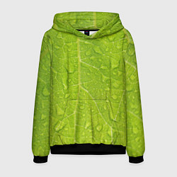 Мужская толстовка Листок с росой