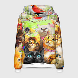 Мужская толстовка КОТЫ
