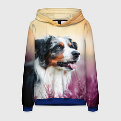 Толстовка-худи мужская Австралийская Овчарка, цвет: 3D-синий