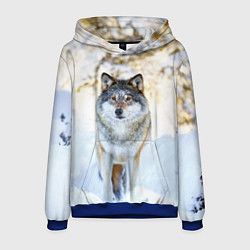 Мужская толстовка Я зимой