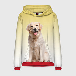 Толстовка-худи мужская Лабрадор ретривер пес, цвет: 3D-красный