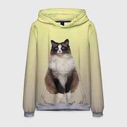 Толстовка-худи мужская Персидская пушистая кошка, цвет: 3D-меланж