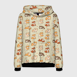 Мужская толстовка Шиба-Ину