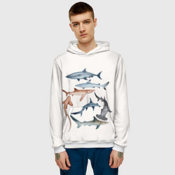 Толстовка-худи мужская Акулы, цвет: 3D-белый — фото 2