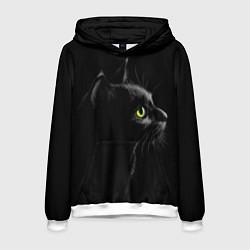 Мужская толстовка Черный кот