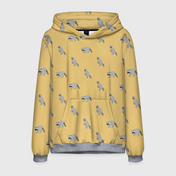 Толстовка-худи мужская Еноты паттерн, цвет: 3D-меланж