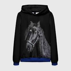 Толстовка-худи мужская Лошадь на черном фоне, цвет: 3D-синий