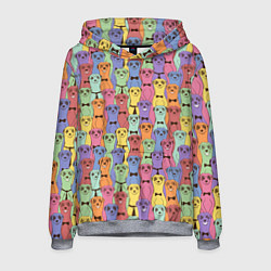 Мужская толстовка Красочные Сурикаты