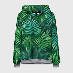 Толстовка-худи мужская Tropical plants pattern, цвет: 3D-меланж