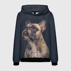 Толстовка-худи мужская Голова французского бульдога, цвет: 3D-черный