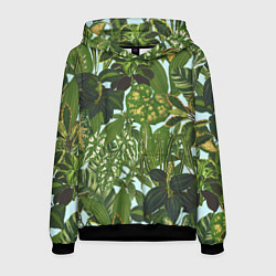 Толстовка-худи мужская Зеленые Тропические Растения, цвет: 3D-черный
