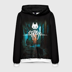 Мужская толстовка Stray кот в ночи