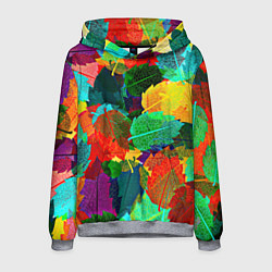 Мужская толстовка Colored leaves