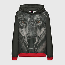 Толстовка-худи мужская Крупная морда серого волка, цвет: 3D-красный