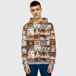 Толстовка-худи мужская Pedigreed cats, цвет: 3D-меланж — фото 2