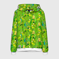 Толстовка-худи мужская Зеленые волнистые попугайчики, цвет: 3D-белый