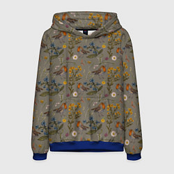 Толстовка-худи мужская Малиновки и зверобой, цвет: 3D-синий