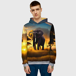 Толстовка-худи мужская Слон и рассвет в саванне, цвет: 3D-меланж — фото 2