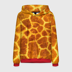 Толстовка-худи мужская Шкура жирафа - текстура, цвет: 3D-красный