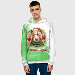 Толстовка-худи мужская Зимний питбуль, цвет: 3D-белый — фото 2