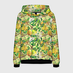 Мужская толстовка Птица на грушевом дереве