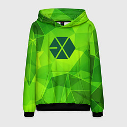 Толстовка-худи мужская Exo green poly, цвет: 3D-черный