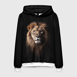Мужская толстовка Mufasa