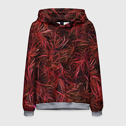 Мужская толстовка Красная трава на чёрном фоне