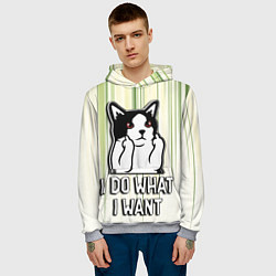 Толстовка-худи мужская Кот - я делаю что хочу, цвет: 3D-меланж — фото 2
