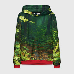 Мужская толстовка Зелёный летний лес