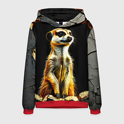 Толстовка-худи мужская Сурикат на черном, цвет: 3D-красный