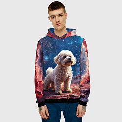 Толстовка-худи мужская Бишон в космосе, цвет: 3D-черный — фото 2