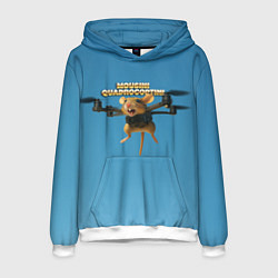 Толстовка-худи мужская Mousini Quadrocoptini мем, цвет: 3D-белый