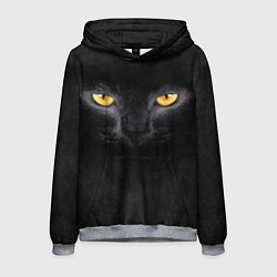 Мужская толстовка Черная кошка