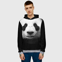 Толстовка-худи мужская Взгляд панды, цвет: 3D-меланж — фото 2