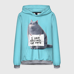 Мужская толстовка I have resing cat face