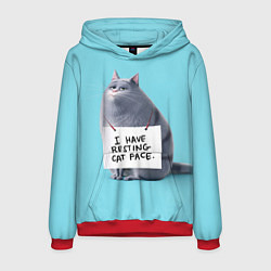Толстовка-худи мужская I have resing cat face, цвет: 3D-красный