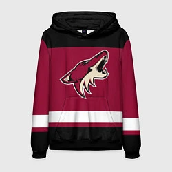 Мужская толстовка Arizona Coyotes